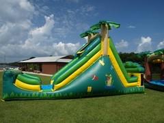 Alligator Alley Water Slide Alligator Alley Water Slide